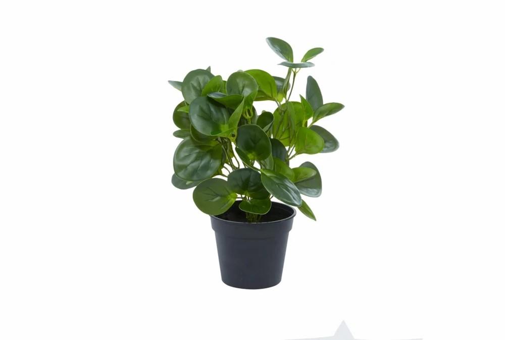 Artificial Plants | 14″ Artificial Peperomia Plant Artificial Plants Artificial Plants