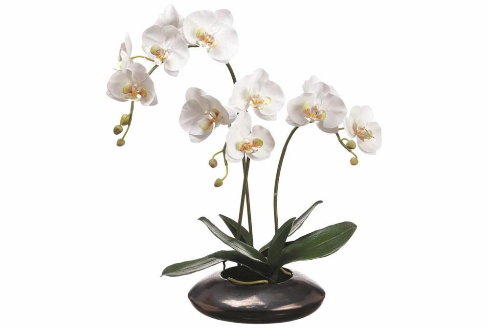 Artificial Plants | 22″ Artificial Orchid In Ceramic Pot Artificial Plants Artificial Plants