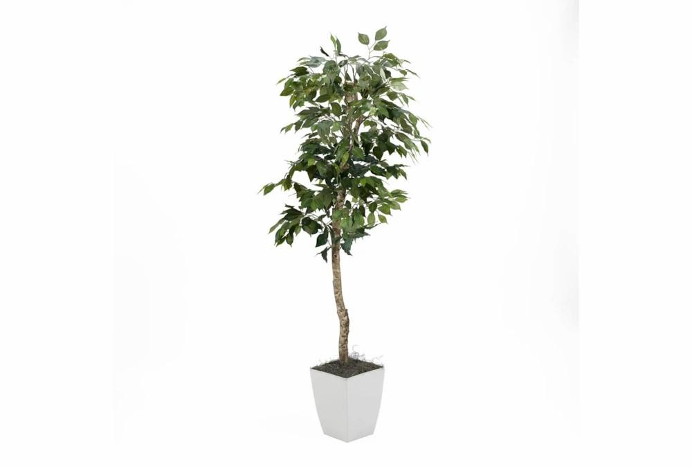 Artificial Plants | 6′ Green Ficus Tree In White Square Metal Planter Artificial Plants Artificial Plants