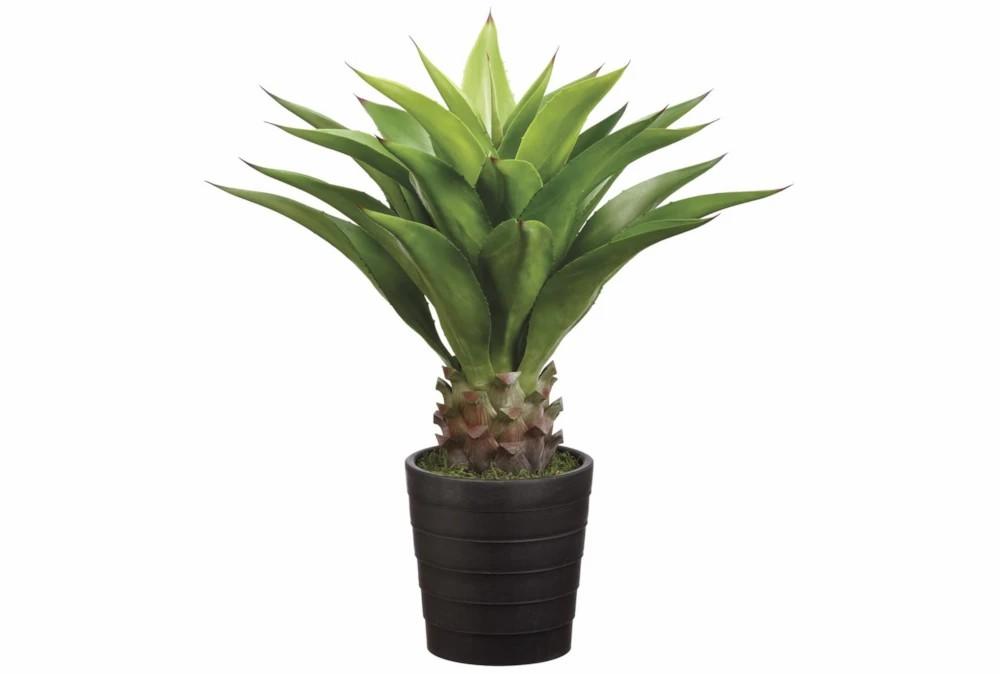 Artificial Plants | Plant-32 Inch Agave Attenuata Plant Artificial Plants Artificial Plants