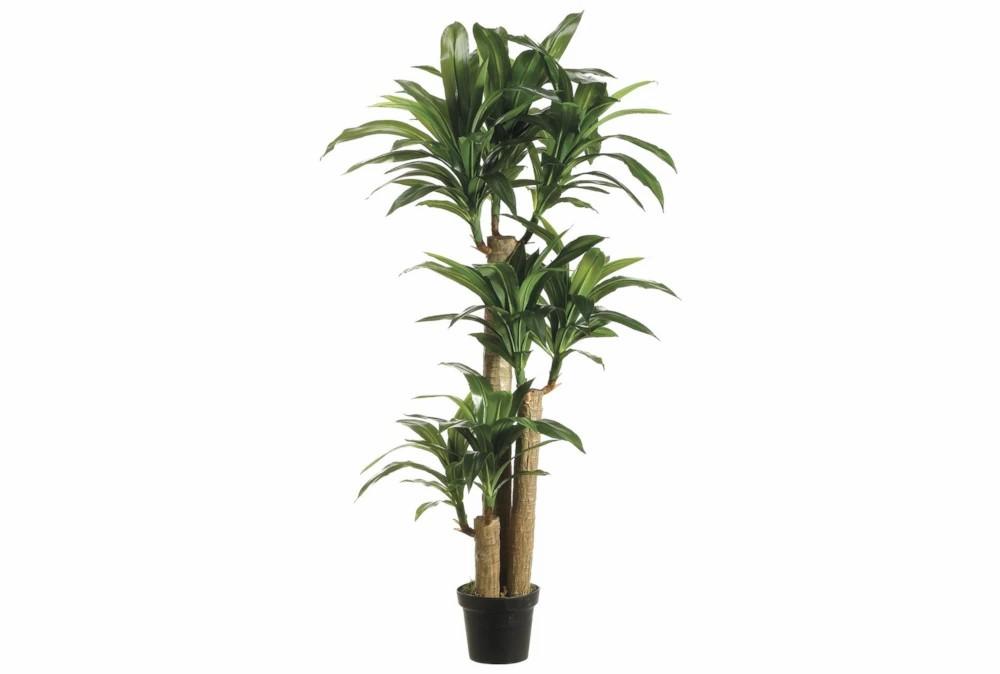 Artificial Plants | Plant-5 Foot Dracaena Tree Artificial Plants Artificial Plants