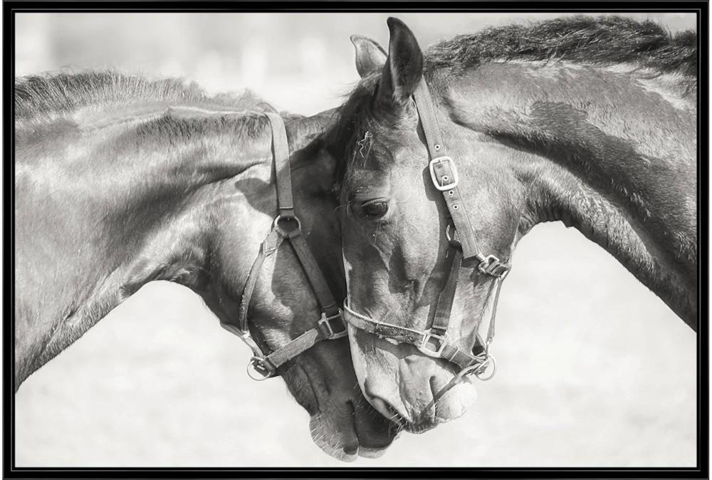 Framed Canvas Art | 56X36 Two Horses Decor Framed Canvas Art