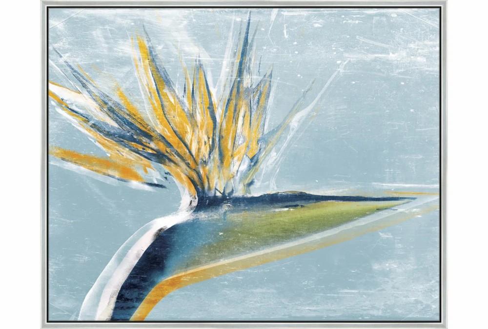 Large Wall Art | 52X42 Bird Of Paradise With Silver Frame Decor Large Wall Art