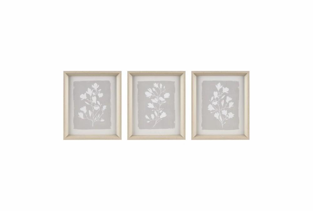 Paintings | 14X12 Beige Florets Set Of 3 Decor Paintings