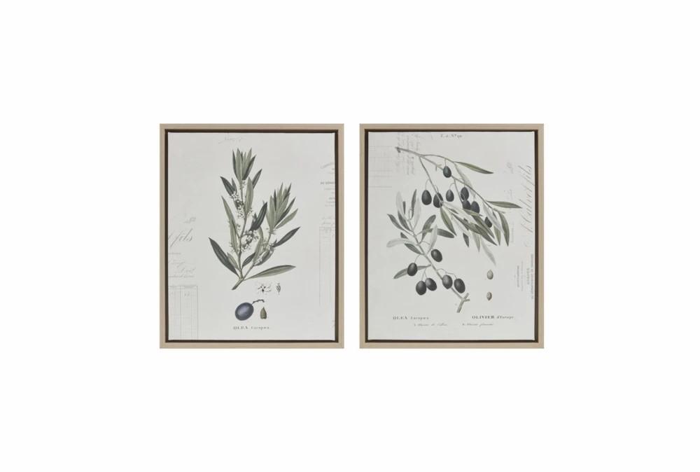 Paintings | 22X18 Kalamata Branches Set Of 2 Decor Paintings