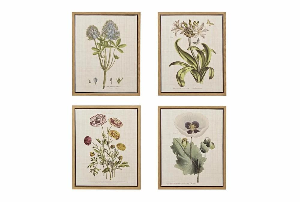 Wall Art Prints | 18X22 Herbal Botany Set Of 4 Decor Wall Art Prints