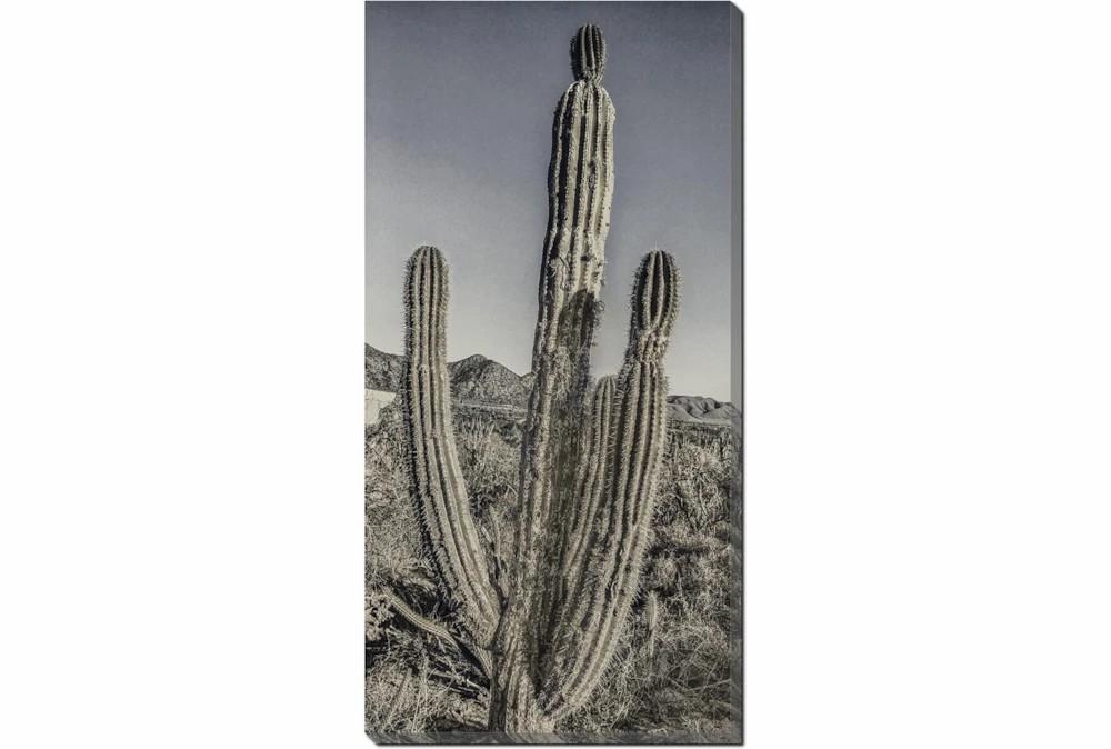 Wall Pictures | 20X40 Lone Cactus With Gallery Wrap Canvas Decor Wall Pictures