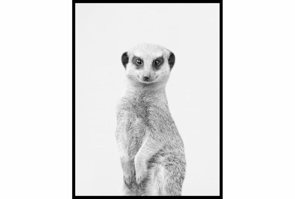 Wall Pictures | 32X42 Silly Meerkat With Black Frame Decor Wall Pictures