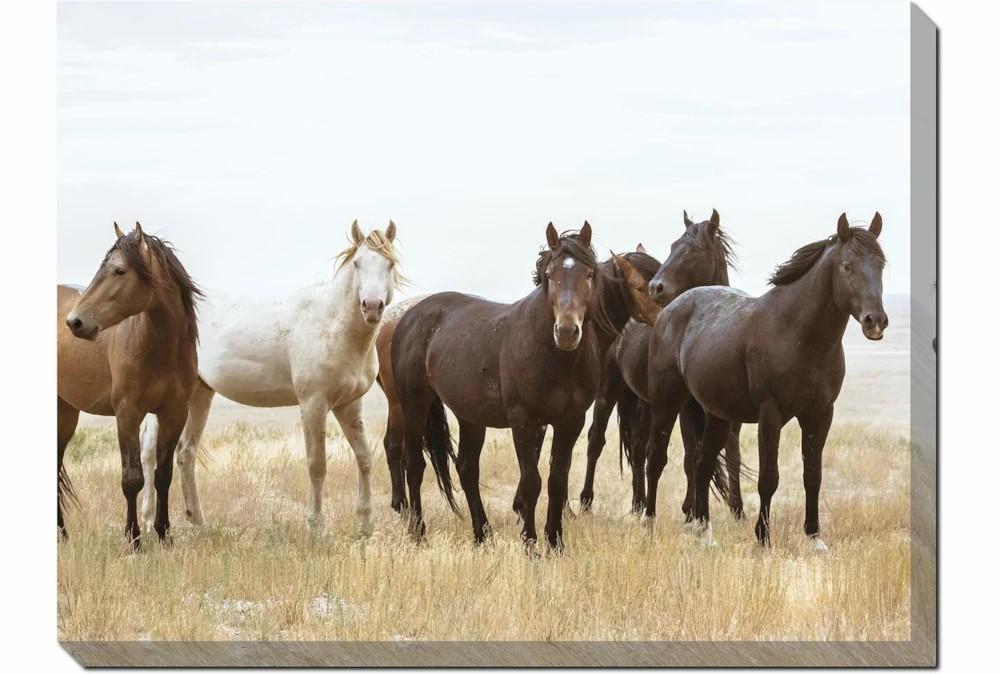 Wall Pictures | 40X30 Wild Horses With Super Gallery Wrap Canvas Decor Wall Pictures