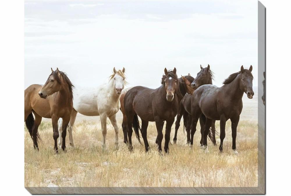 Wall Pictures | 50X40 Wild Horses With Super Gallery Wrap Canvas Decor Wall Pictures