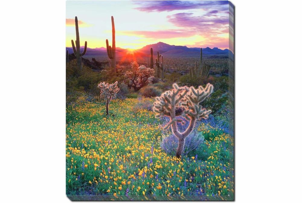 Wall Pictures | Picture-20X24 Desert Wildflowers Decor Wall Pictures