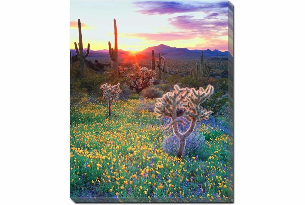 Wall Pictures | Picture-40X50 Desert Wildflowers Decor Wall Pictures