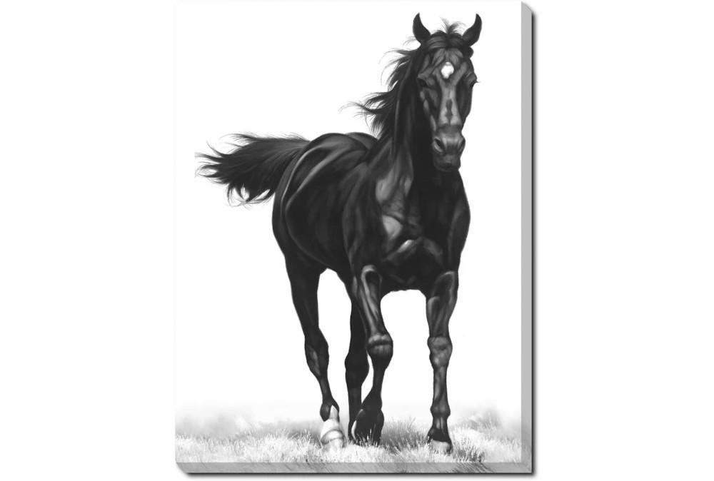 Wood Wall Art | 30X40 B&W Strong Stallion With Gallery Wrap Canvas Decor Wood Wall Art