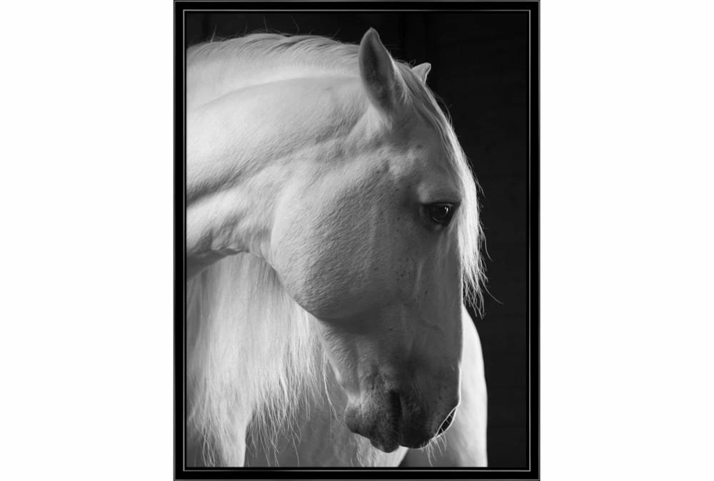 Wood Wall Art | 32X42 Timid White Stallion Decor Wood Wall Art