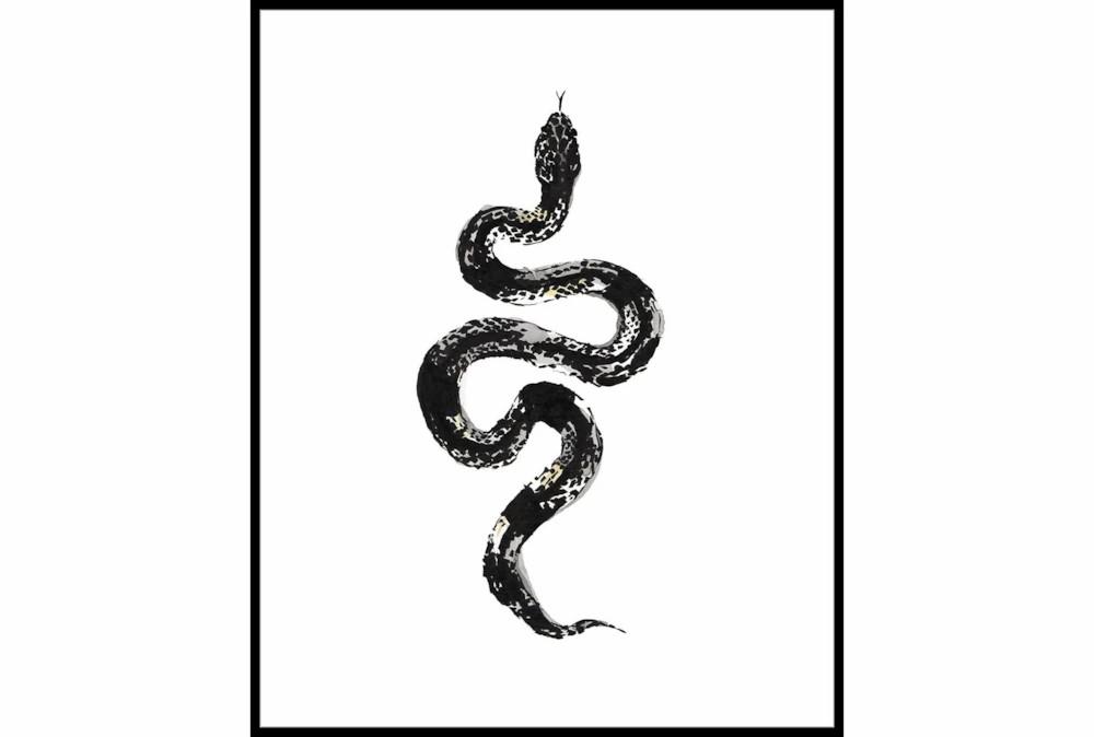 Wood Wall Art | 42X52 B&W Snake 1 With Black Frame Decor Wood Wall Art