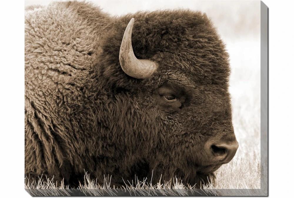 Wood Wall Art | 50X40 Buffalo With Gallery Wrap Canvas Decor Wood Wall Art