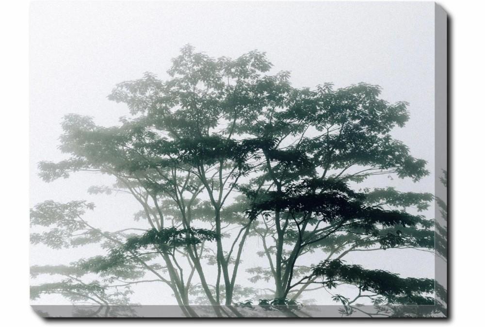 Wall Pictures | 40X30 Trees Tranquil Moment With Gallery Wrap Canvas Decor Wall Pictures