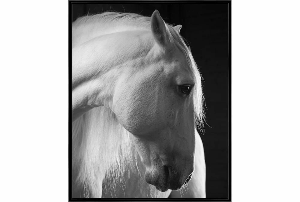 Wall Pictures | 42X52 Timid White Stallion Decor Wall Pictures